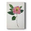 PressedCamelliaI - Gallery Cavas sur mesure