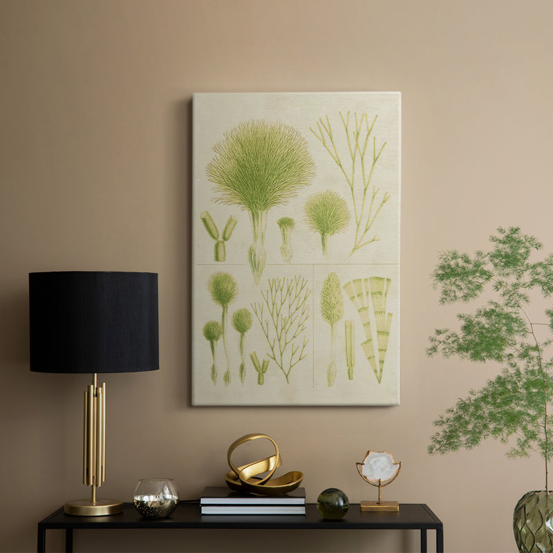 Herbe de mer rétro III - galerie Cavas sur mesure