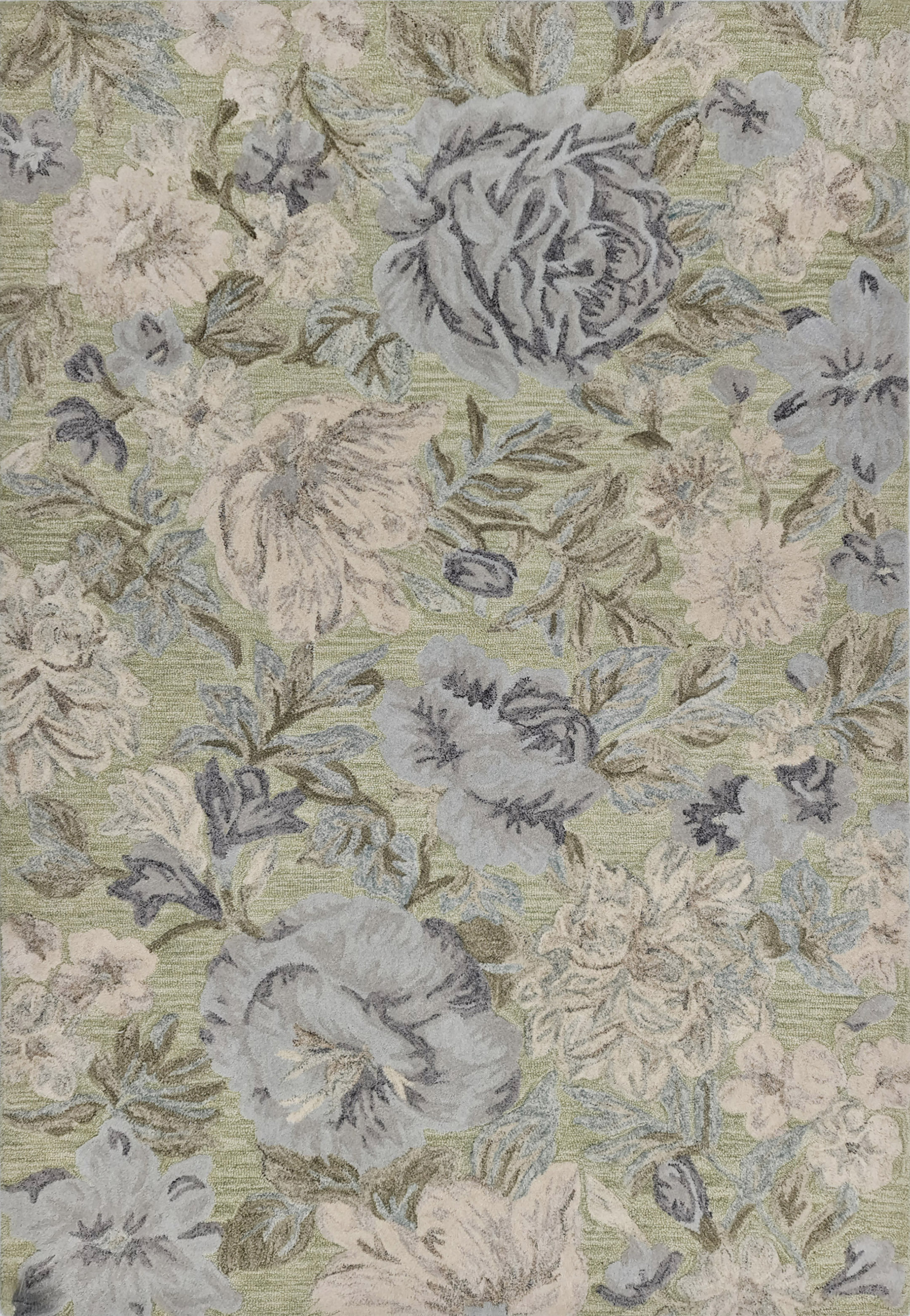 Dynamic Rugs DAISY 9X12 9091-499 LT GREEN/MULTI - Wayfair Canada