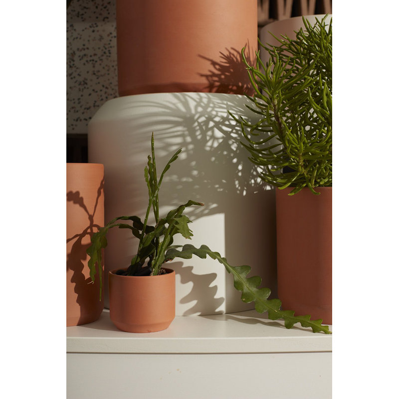 Somchai Ceramic Pot Planter