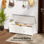 39.5" Shoe Storage Bench with Lift-Top Storage and Removable Cushion, Shoe Bench with Barn Doors and Adjustable Shelf for Entryway, Bedroom-973577134-1002295054