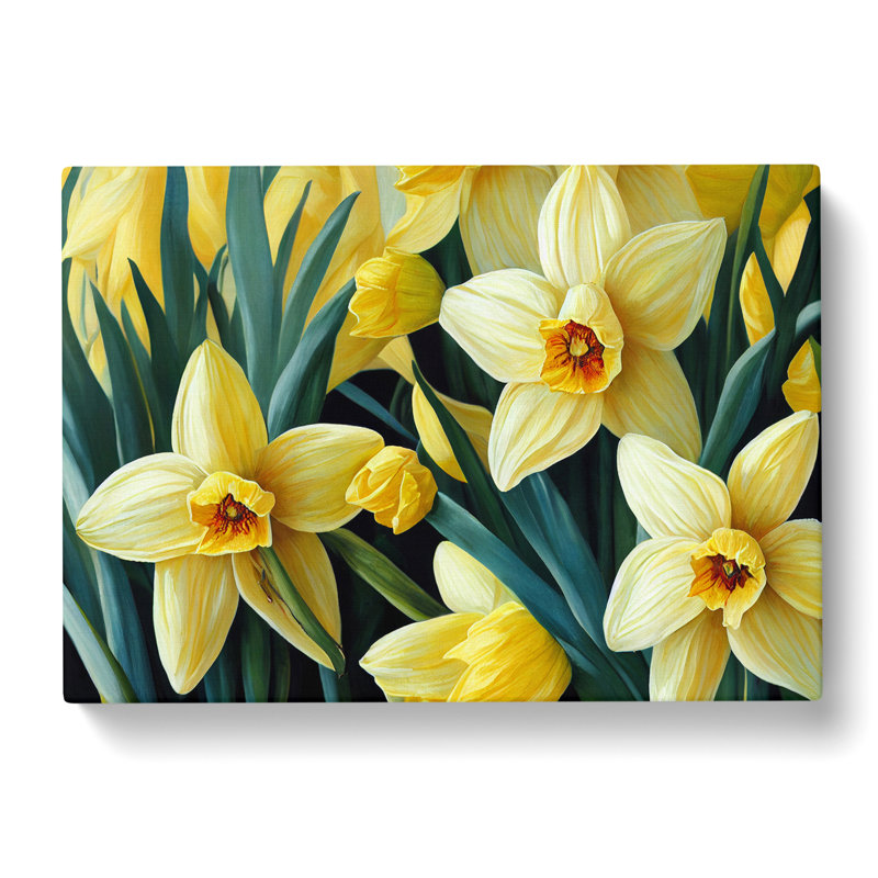 Bewitching Daffodil Flowers - Wrapped Canvas, 40cm H x 60cm W x 3cm D