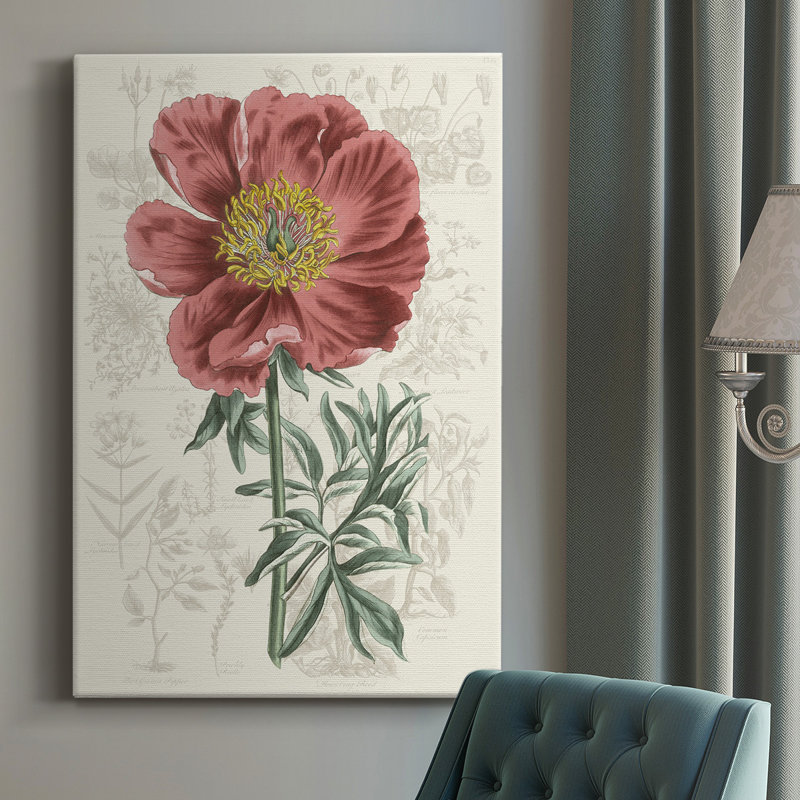 Peony Flower Garden IV - Impression sur toile tendue, L 12 po x H 18 po
