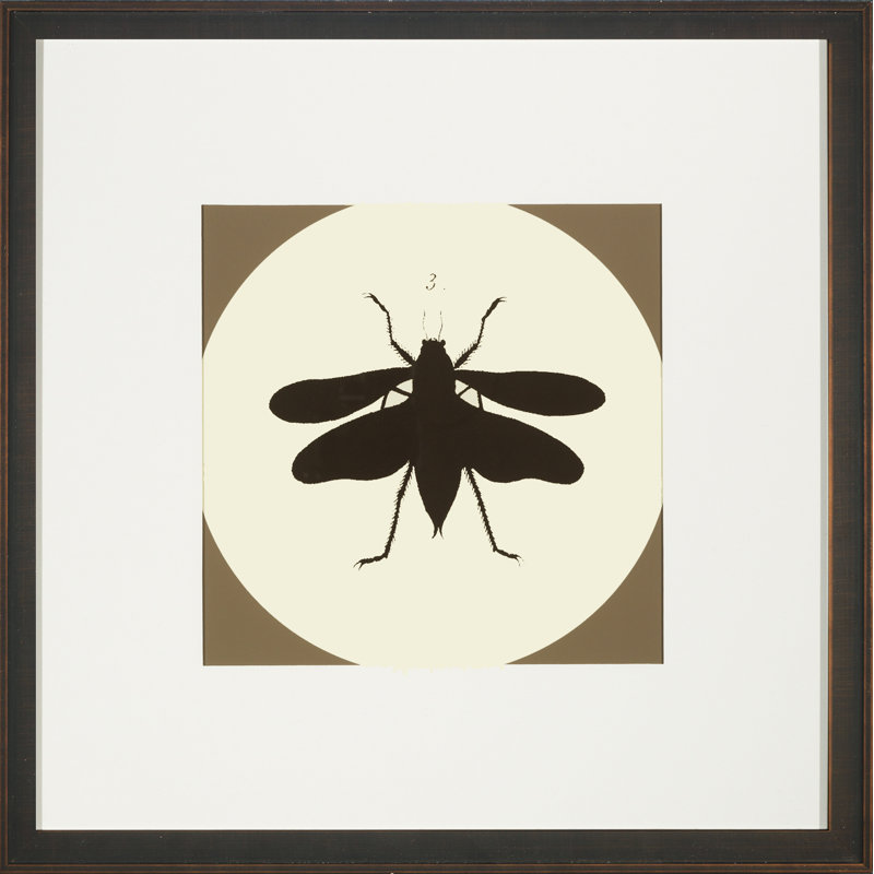 Insect Silhouette I