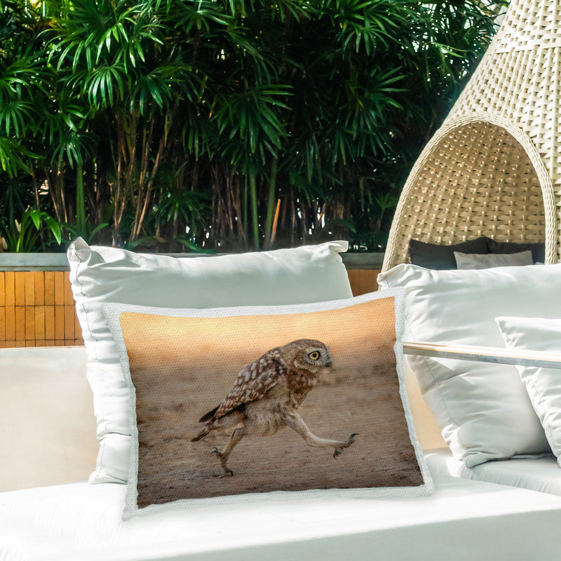 Housse et insert de coussin rectangulaire en polyester pour l'intérieur et l'extérieur Shuli Greenstein