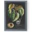 « royal feuillage i » par paul cezanne-photo-cadre, reproduction d’art-1507688354-1507688409