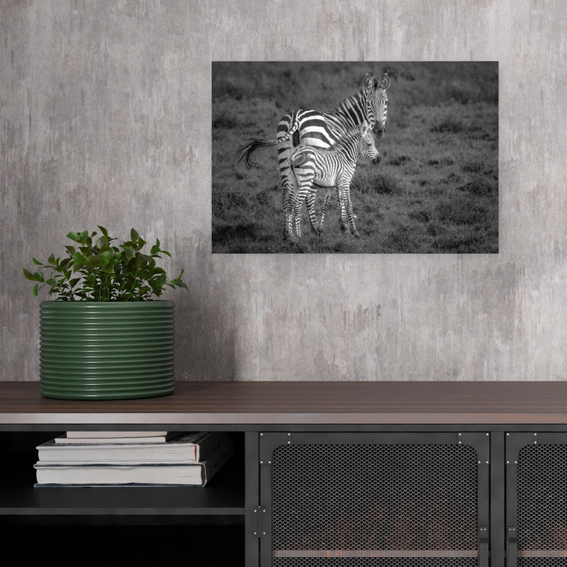 Mother And Foal Zebra Contemporary Zebra Nature Portrait Wall Art Print by Jeffrey C. Sink - 1 Piece Wrapped Canvas Wall Art