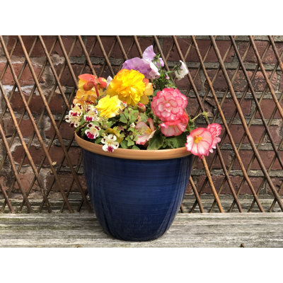 Sundhya Pot Planter