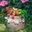 Ensemble de 2 pots à fleurs en ciment bruns 6,5 x 6,5 x 6 po