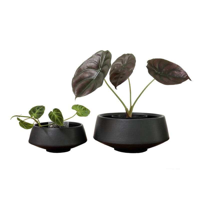 Black Ceramic Indoor Succulent Planters Set of Two