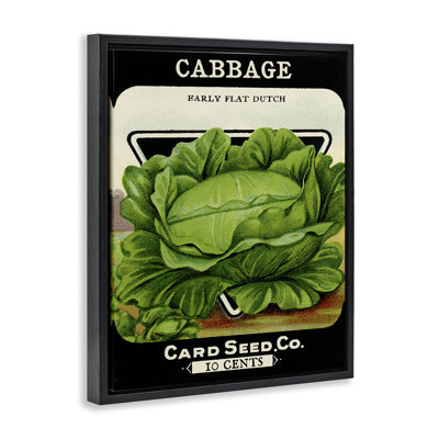 Vintage Garden Cabbage Floating Frame, design by Lil' Rue