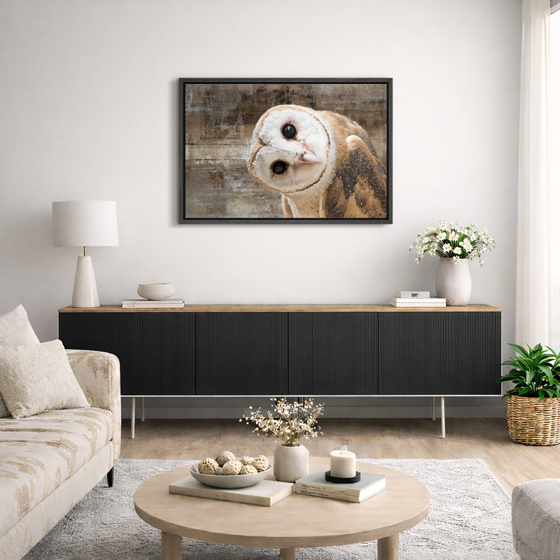 «Bird Bird Curious Owl Look» (Tyto Albahead), tête en gros plan sur toile, H 16 po x l 24 po, Impression encadrée, Noir