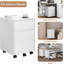 McLoughney 40cm Wide Mobile File Cabinet-1684424113