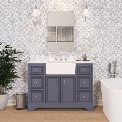 Emiliano 48'' Single Bathroom Vanity with Top