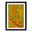 Map of a Leaf in Abstract - Framed Print-55770751-55770750