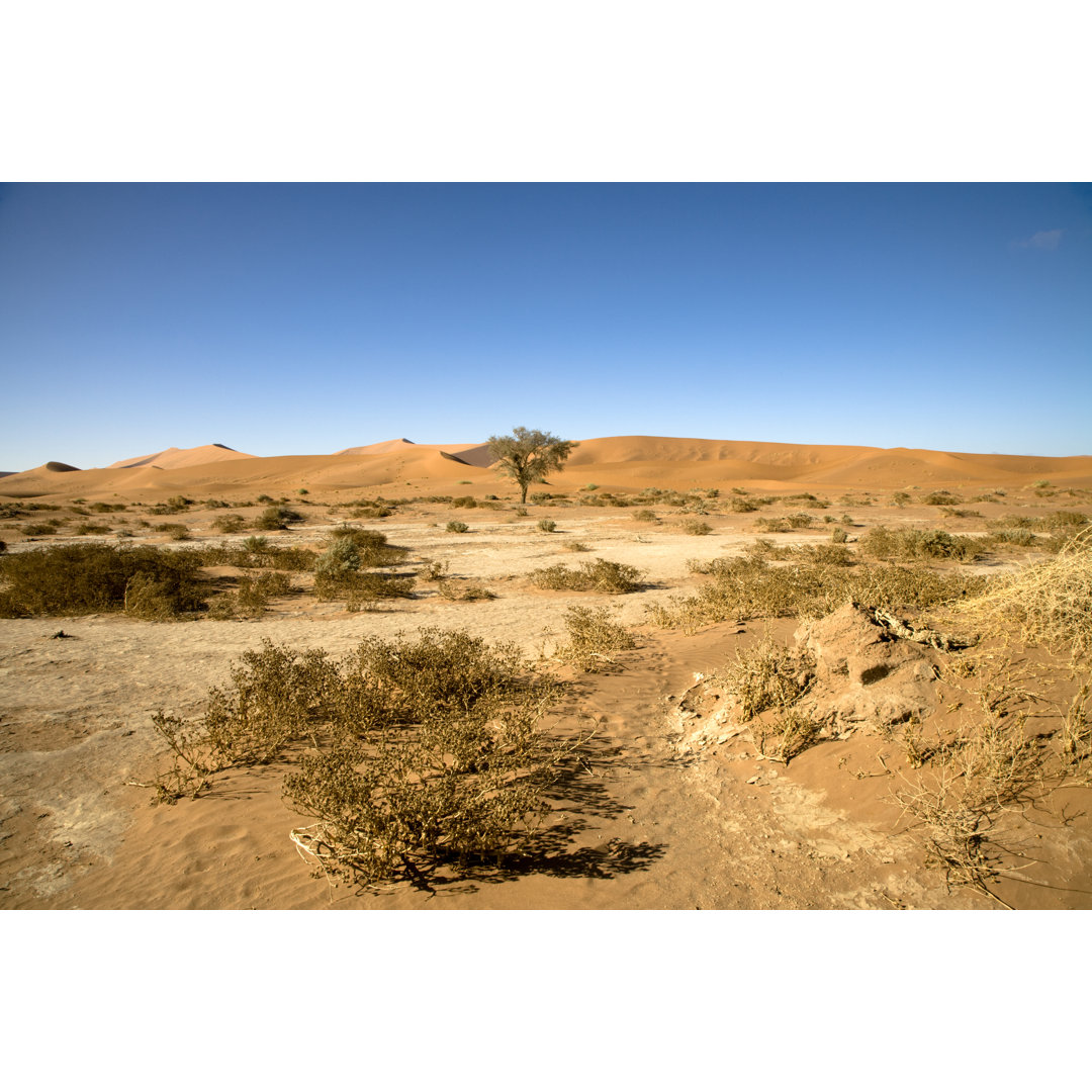 Trockene Wüstenlandschaft von Mlenny - Kunstdrucke