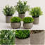Petites plantes artificielles en pot avec pots de ciment