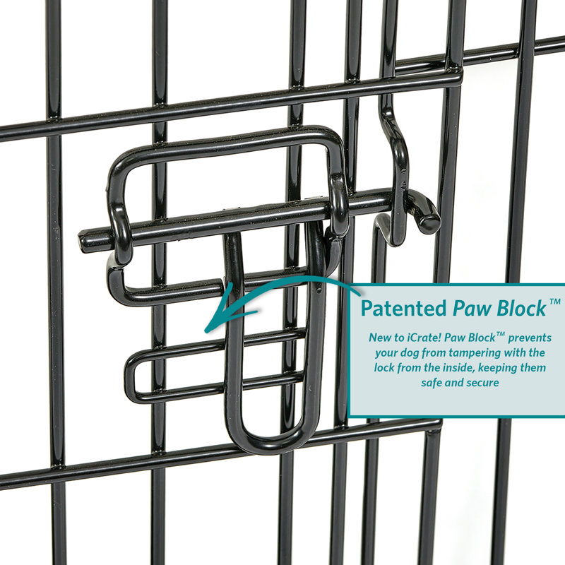 Black Double Door Folding Metal Dog Crate, 36"