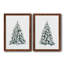 Blue Spruce I - ensemble de 2 cadres photo-1506184548-1506184350