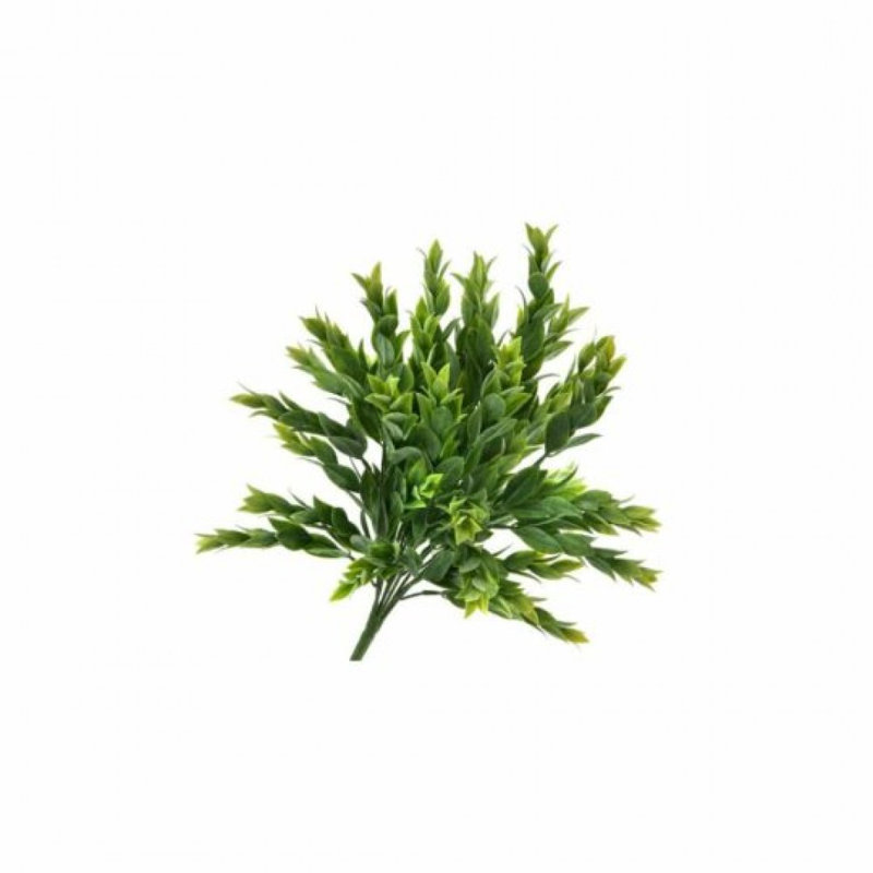 Ruscus vert poussiéreux laisse des buissons de plantes et d'arbres artificiels