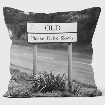 Old - Lesser Spotted Britain Cushion
