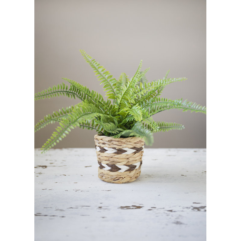 KitchenCraft Water Hyacinth Planter, Striped Design