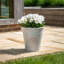 Dinardo Pot Planter-1955219779-1955219776