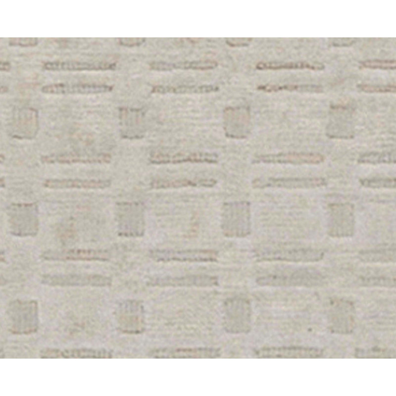 Area Rug in Beige