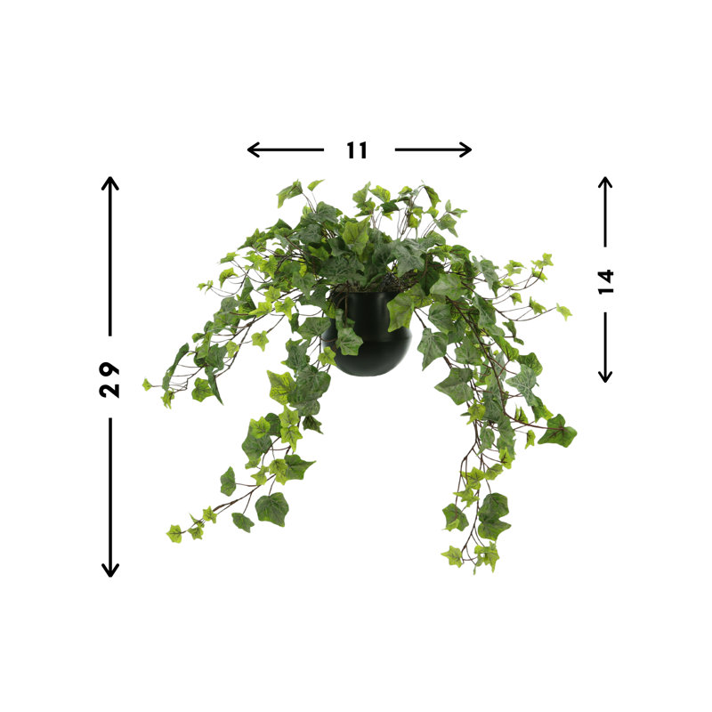 Realistic Trailing Ivy Plant