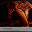 Couverture  Tiger Winter Wram