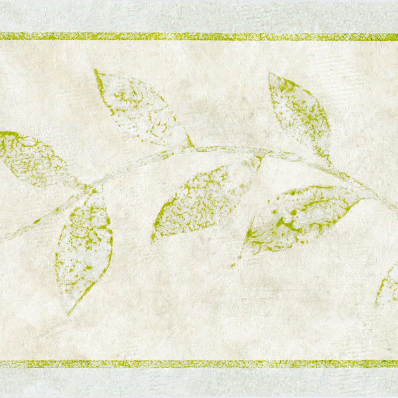 Bordure de papier peint L 15 pi x l 7 po Jaleyza