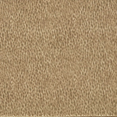 Reflect Lacuna Fabric