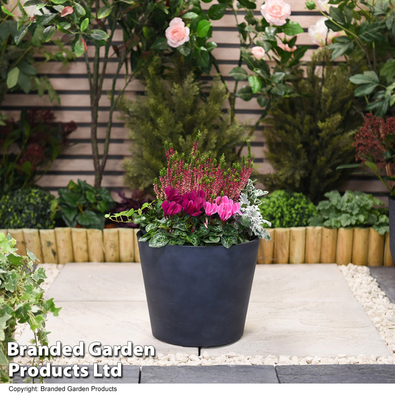Paytin Pot Planter