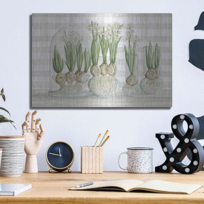 Luxe Metal Art 'Paperwhite Bulbs' By Cindy Jacobs, " Paperwhite Bulbs " by Cindy Jacobs