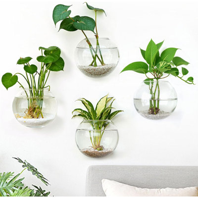 Ensemble de 4 jardinières murales, station de propagation murale Vases en verre suspendus Terrarium