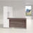 Idael 2 Piece Executive Desk Office Set-1251986326