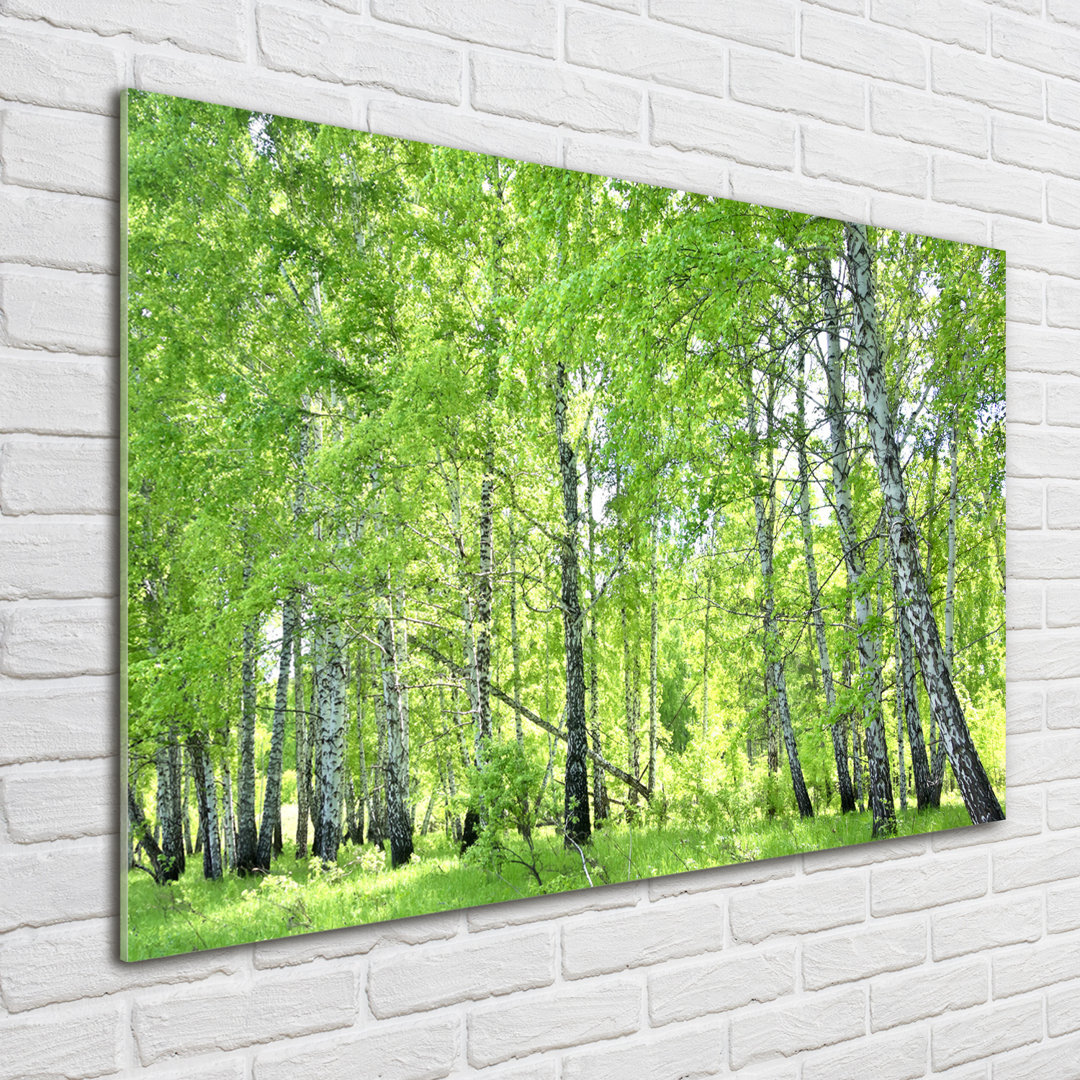 Glasbild Birch Forest