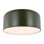 1 - Light Flush Mount