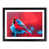 Black Framed selected
