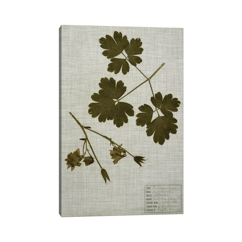 Pressed Leaves On Linen I by Vision Studio - Wrapped Canvas Print, 66.04 cm H x 45.72 cm W