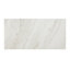 Carrelage pour mur et plancher en porcelaine de 12 po x 24 po Famed