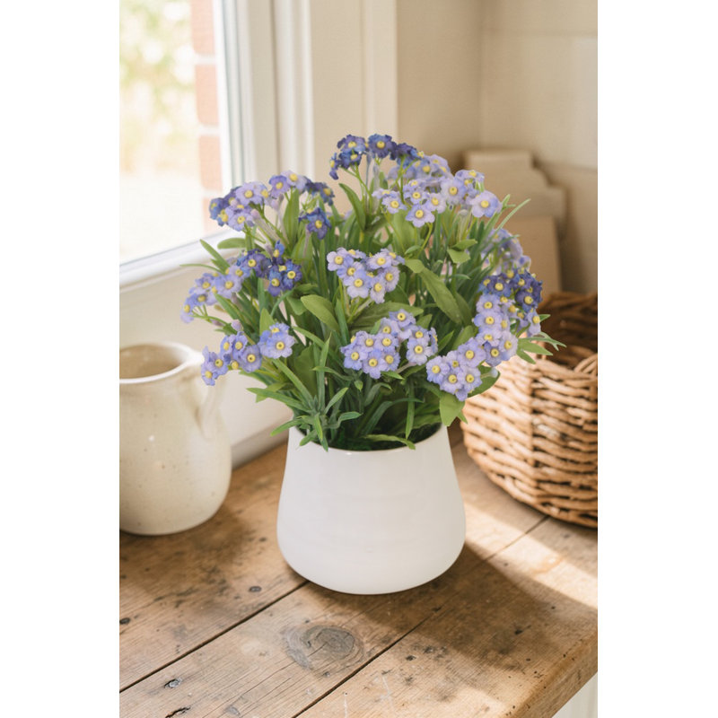 Forget-Me-Nots dans un petit contenant blanc (ensemble de 2)