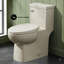 Toilette une pièce Classe-44637969-63694535