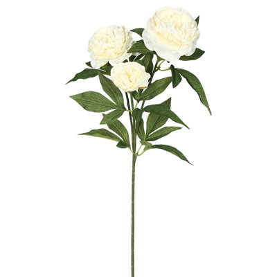 Rose Spray