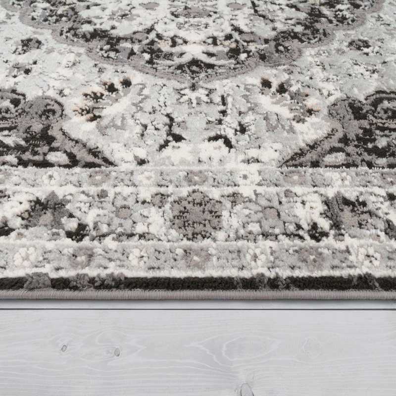 Ozturk Oriental Area Rug, Rectangle 120 x 160cm