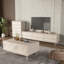 Table basse élégante avec rangement spacieux