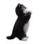 Animals Weather Resistant Polyresin Garden Statue-1662511329