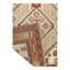 Oriental Area Rug in Beige