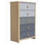Bustillo 30.7'' Wide 5 -Drawer Chest-1008892212