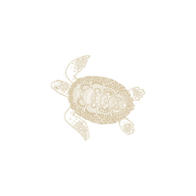 Décalcomanie murale autocollant en écaille tortue